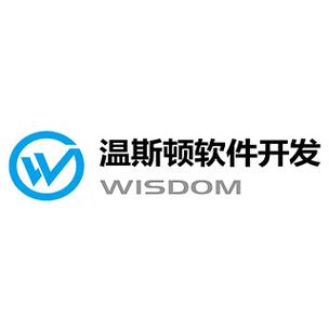 武漢溫斯頓軟件 信息系統集成服務的創新引領者
